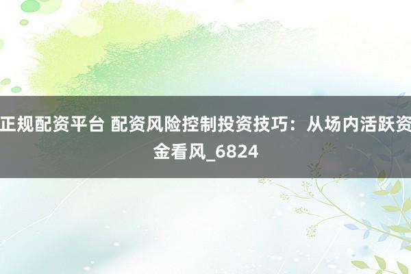 正规配资平台 配资风险控制投资技巧：从场内活跃资金看风_6824
