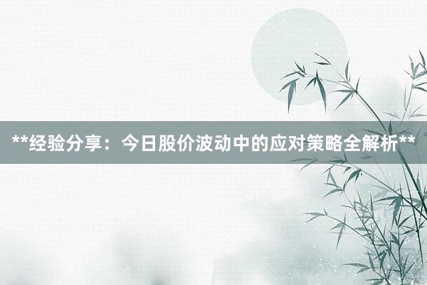 **经验分享：今日股价波动中的应对策略全解析**