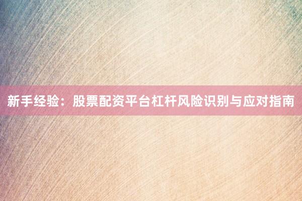 新手经验：股票配资平台杠杆风险识别与应对指南