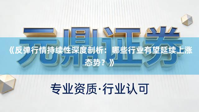 《反弹行情持续性深度剖析：哪些行业有望延续上涨态势？》