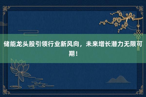 储能龙头股引领行业新风向，未来增长潜力无限可期！