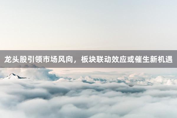龙头股引领市场风向，板块联动效应或催生新机遇